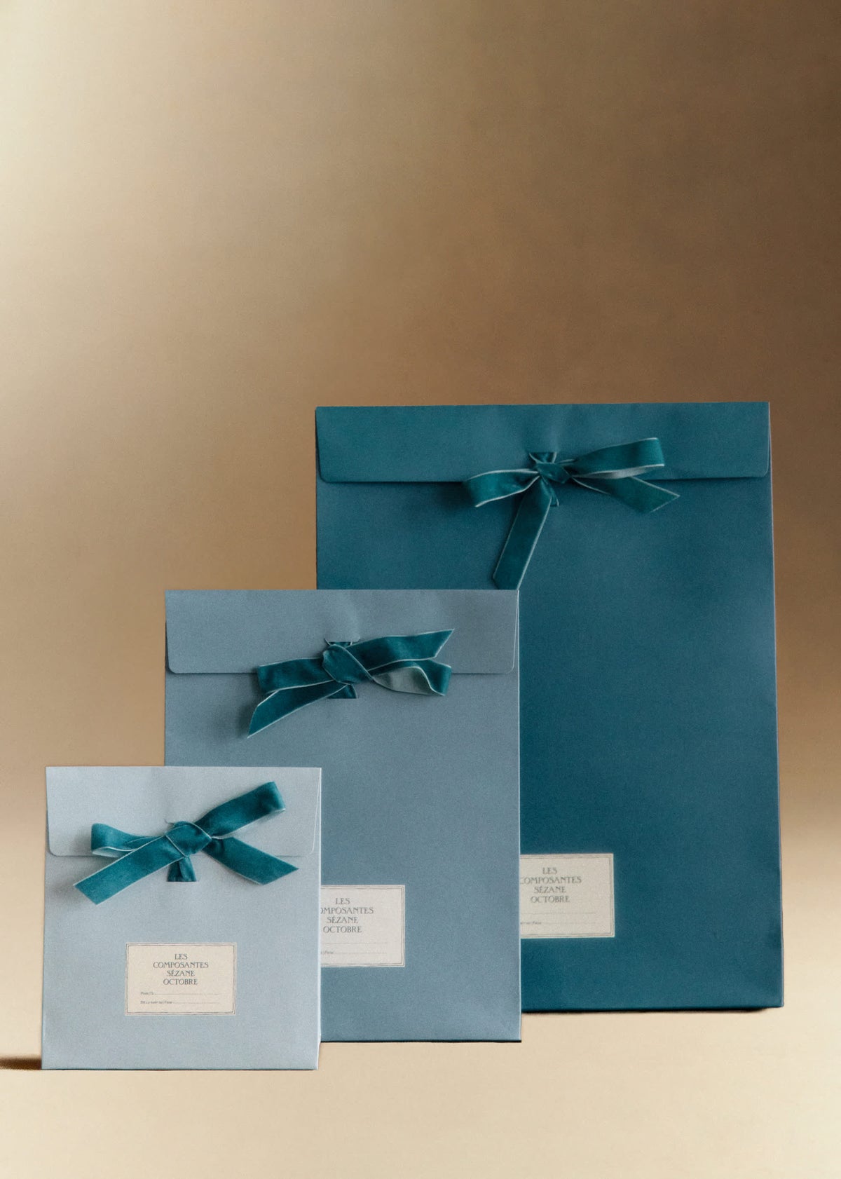 Pochettes cadeaux - Trio Bleu