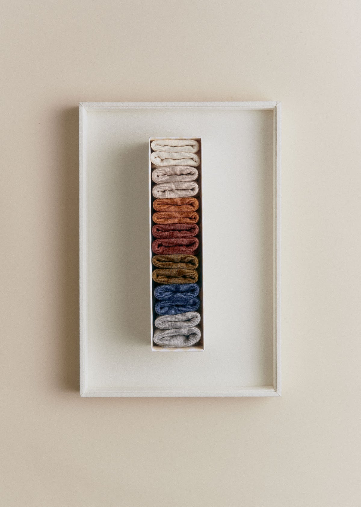 Semainier de chaussettes Naissance - Multicolore