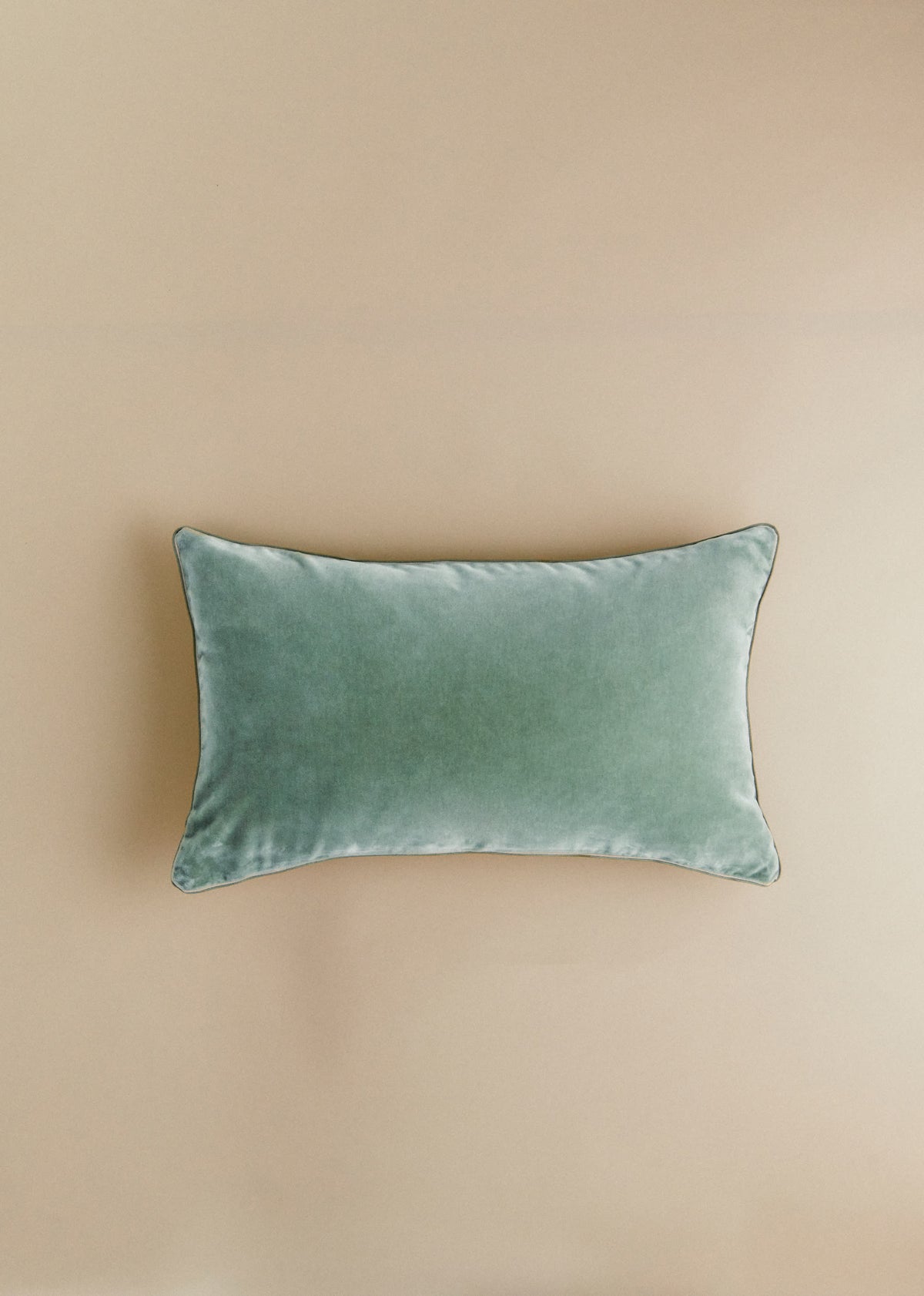 Coussin Velours Édition - Petit modèle - Céladon Clair