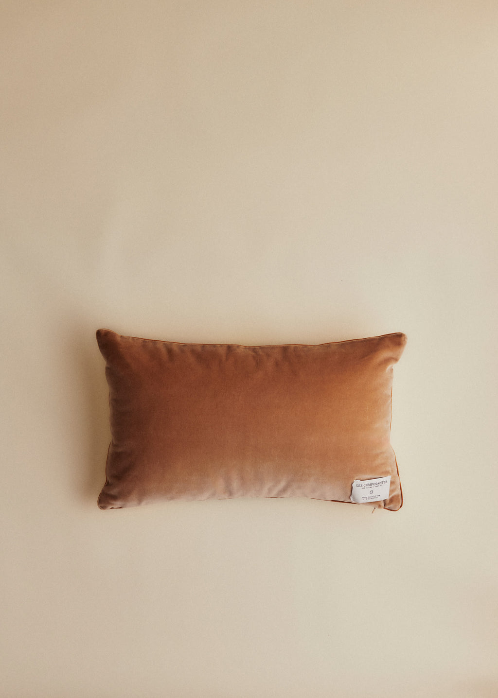 Coussin vintage velours beige - Petit modèle - Imprimé Bouquet Floral Fond Rouge