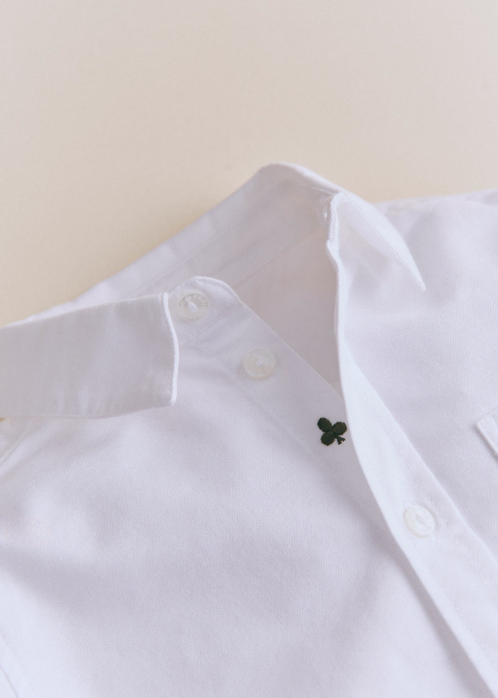 Chemise Tom - Oxford Blanc