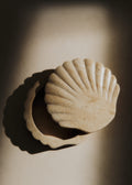 Boite Coquillage - Travertin naturel