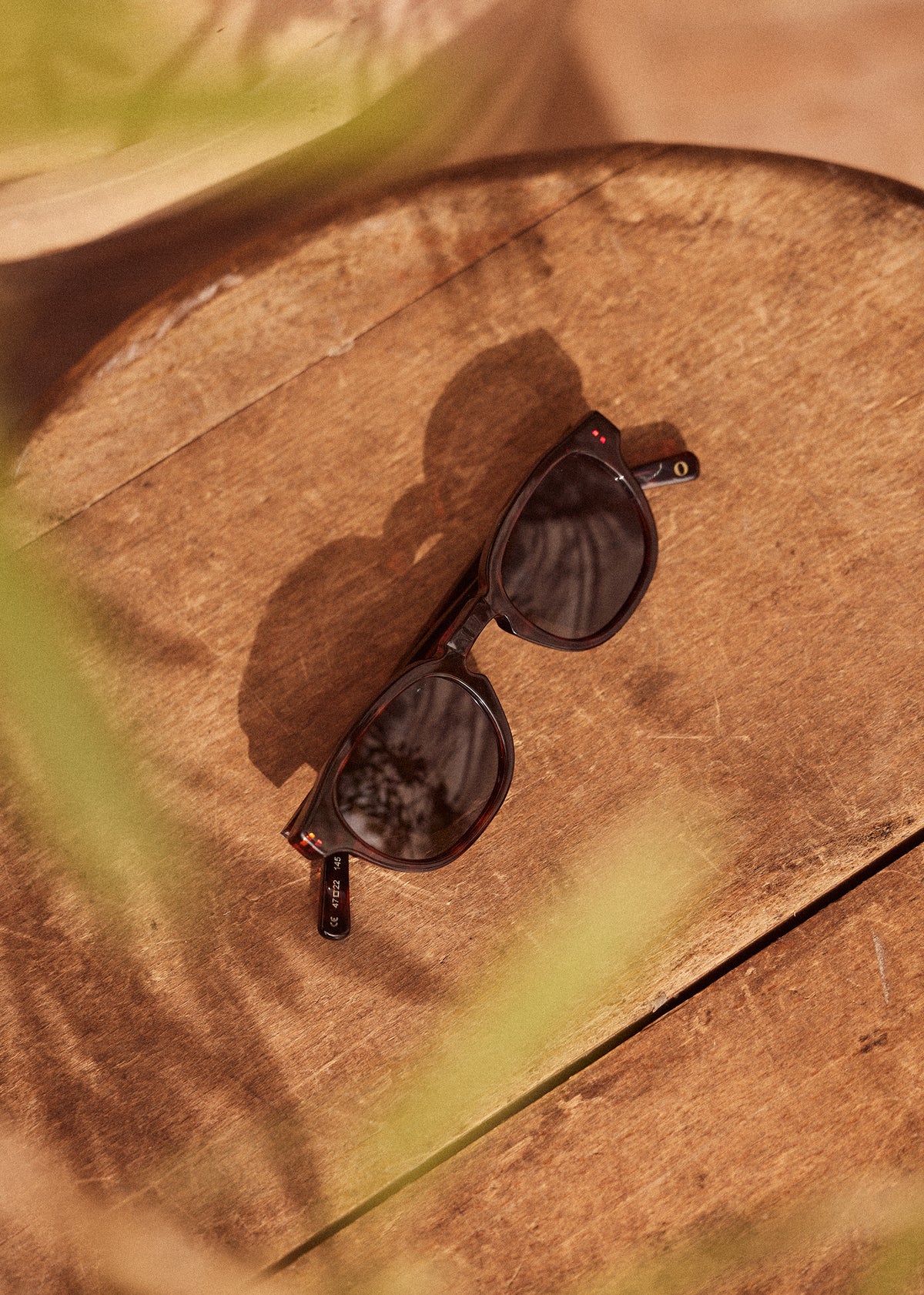 Lunettes de Soleil Wells - Écailles Marron Foncé
