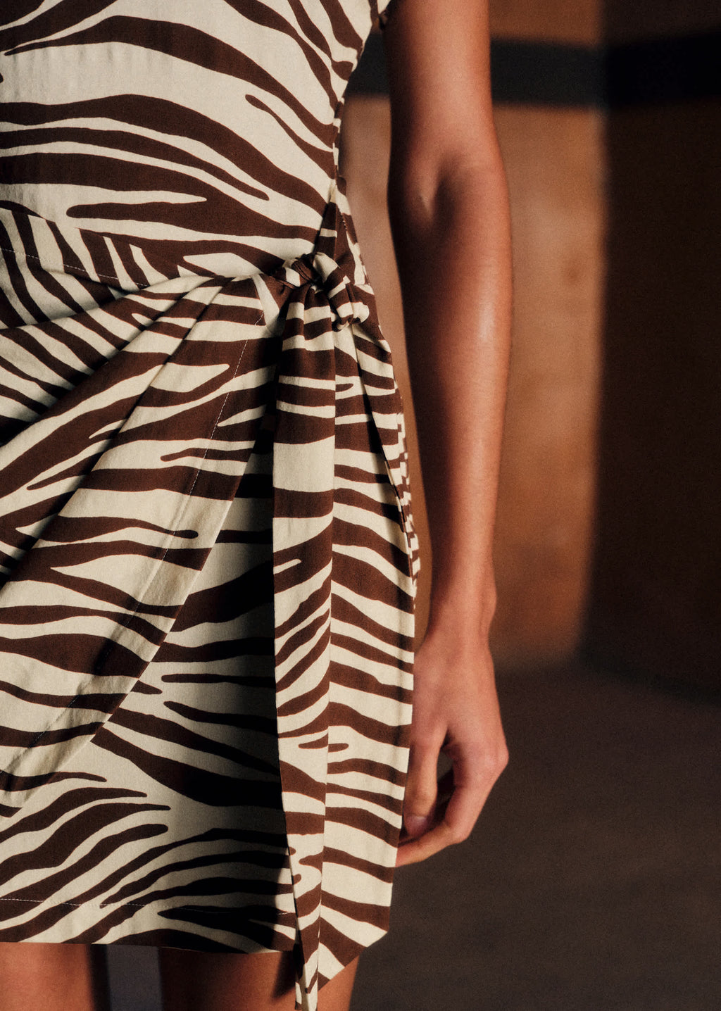 Robe Sabrina - Imprimé Zebra Terre