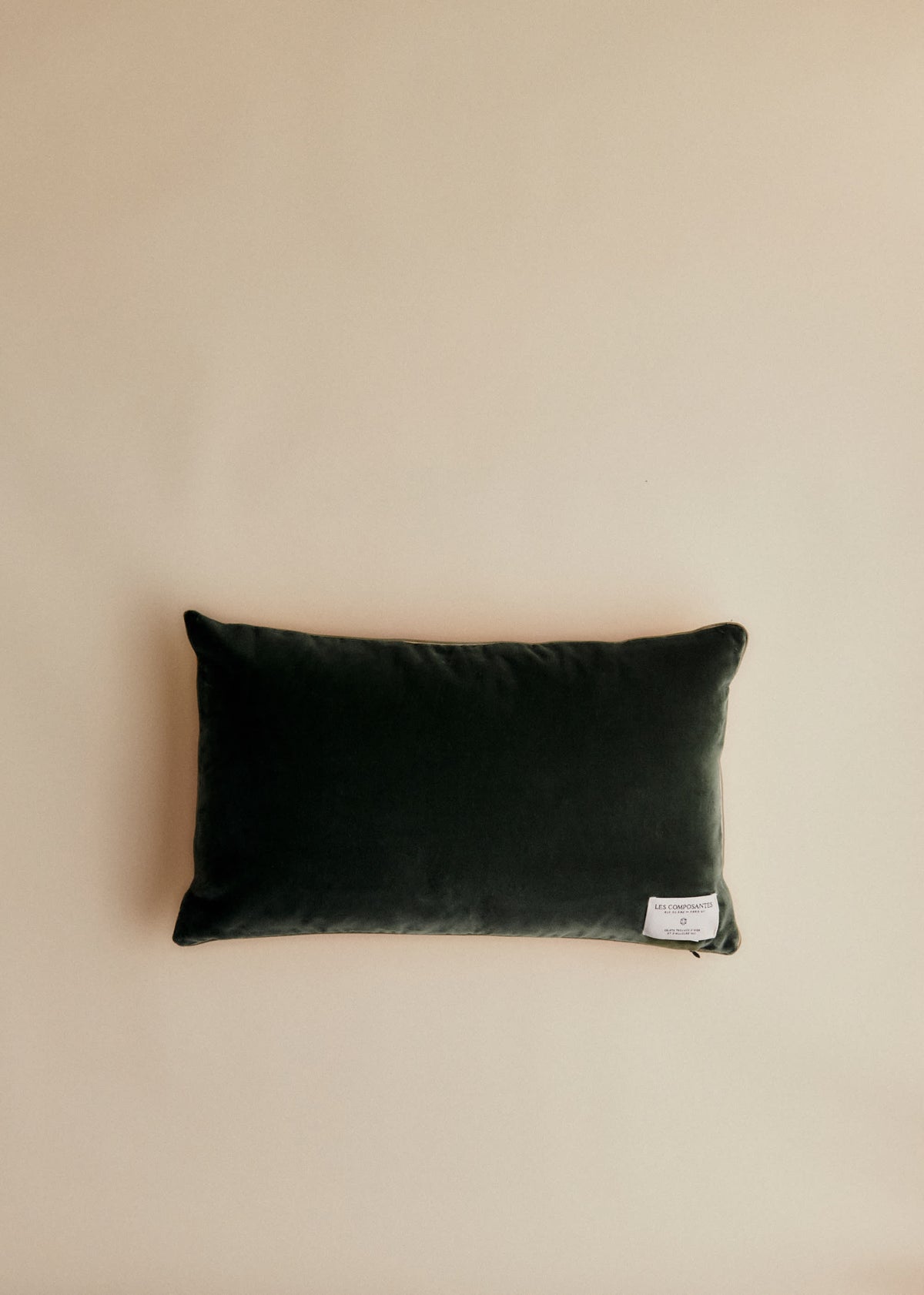 Coussin vintage velours céladon foncé - Petit modèle - Imprimé Médaillons Baroques