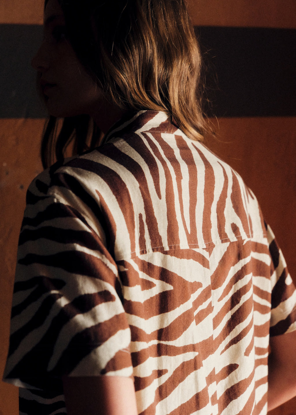 Robe Sonali - Imprimé Zebra Terre