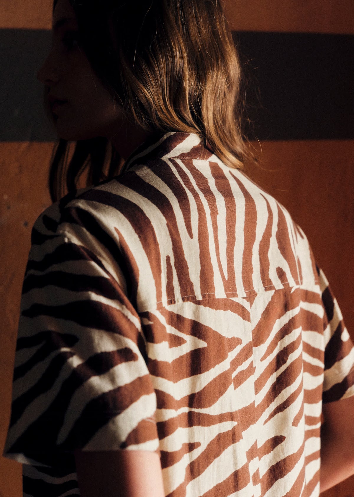 Robe Sonali - Imprimé Zebra Terre