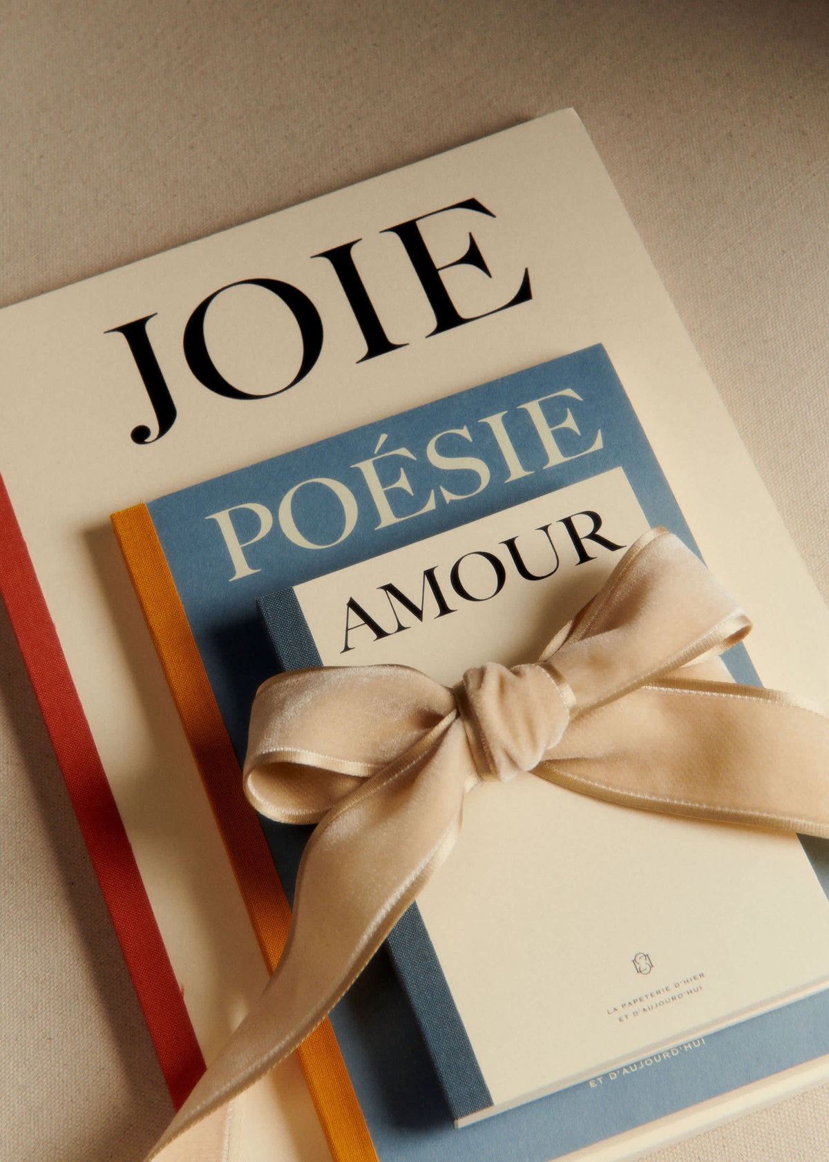 Carnet A4 - Joie