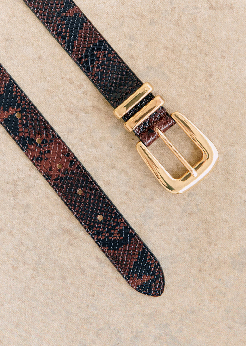 Ceinture Oria - Marron Python