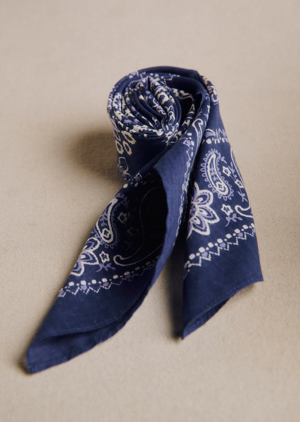 Foulard Gaston - Imprimé Bandana Marine