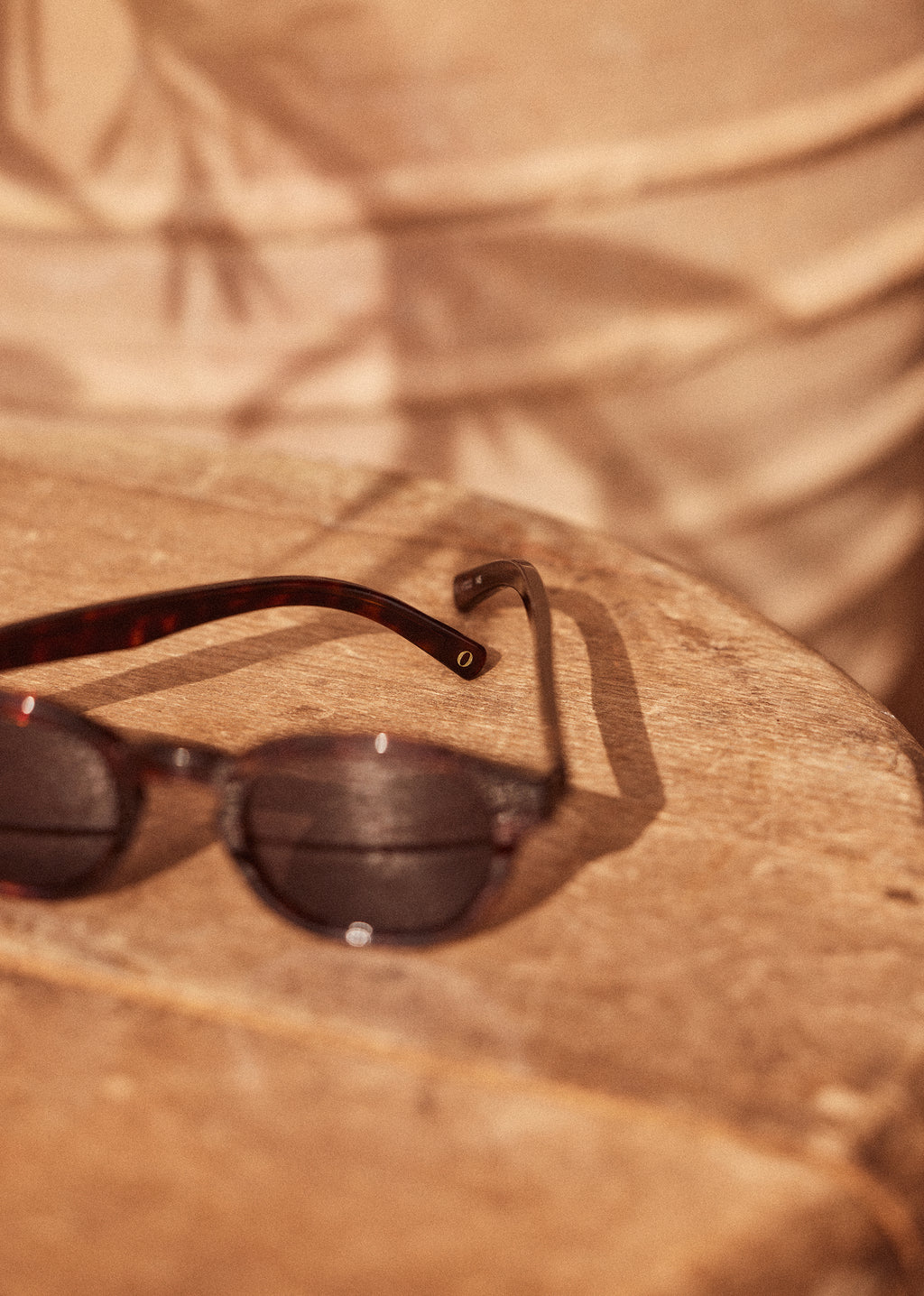 Lunettes de Soleil Wells - Écailles Marron Foncé