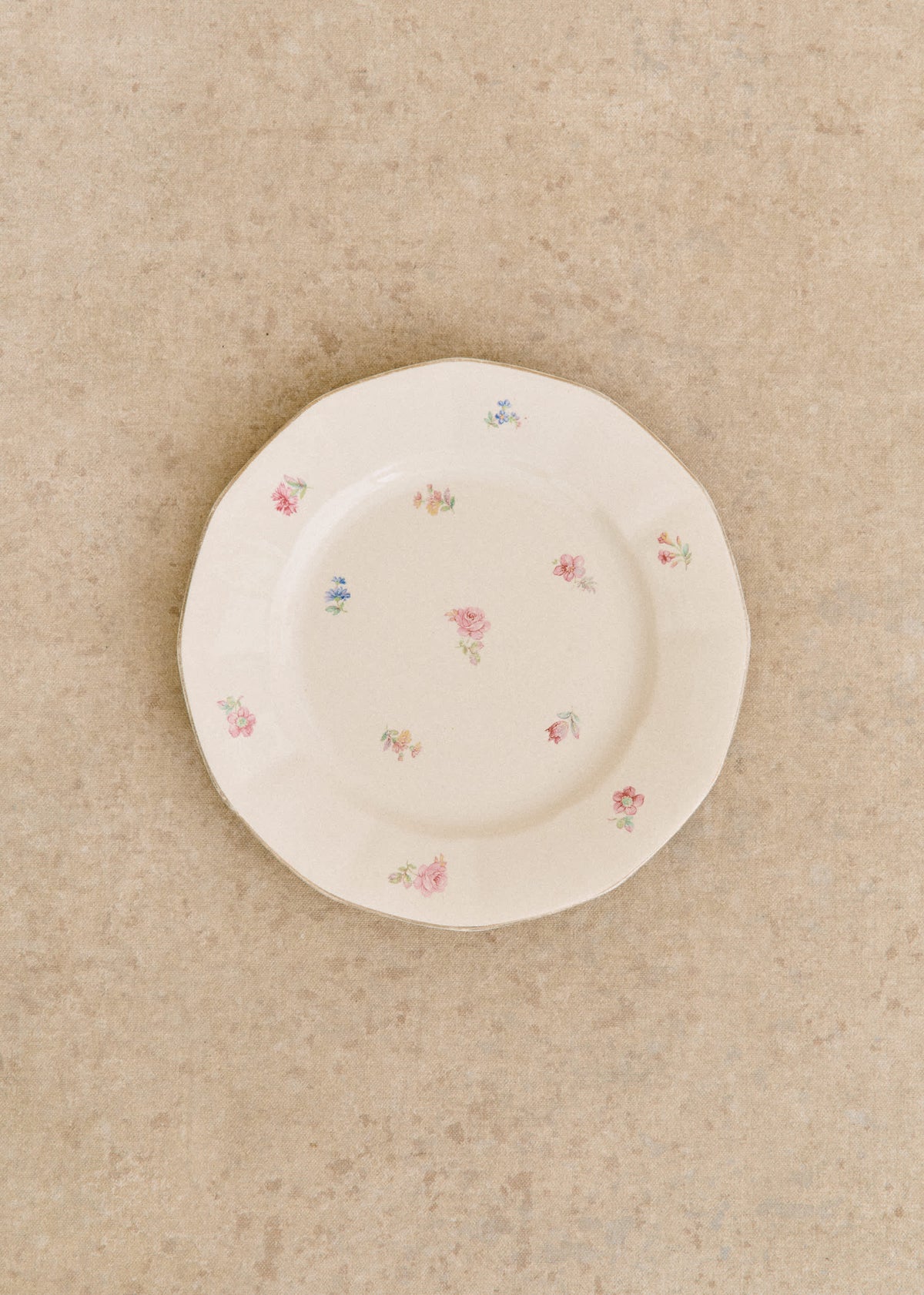 Assiettes Anciennes, Fleurs anglaises - Lot de 5 assiettes plates - Décor n°10