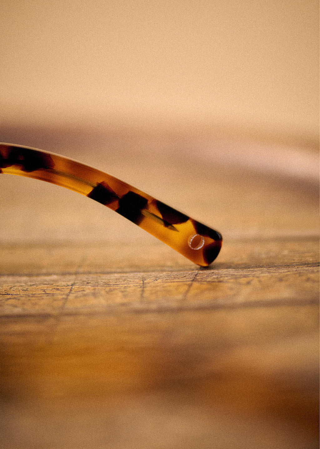 Lunettes de soleil Leo - Écailles