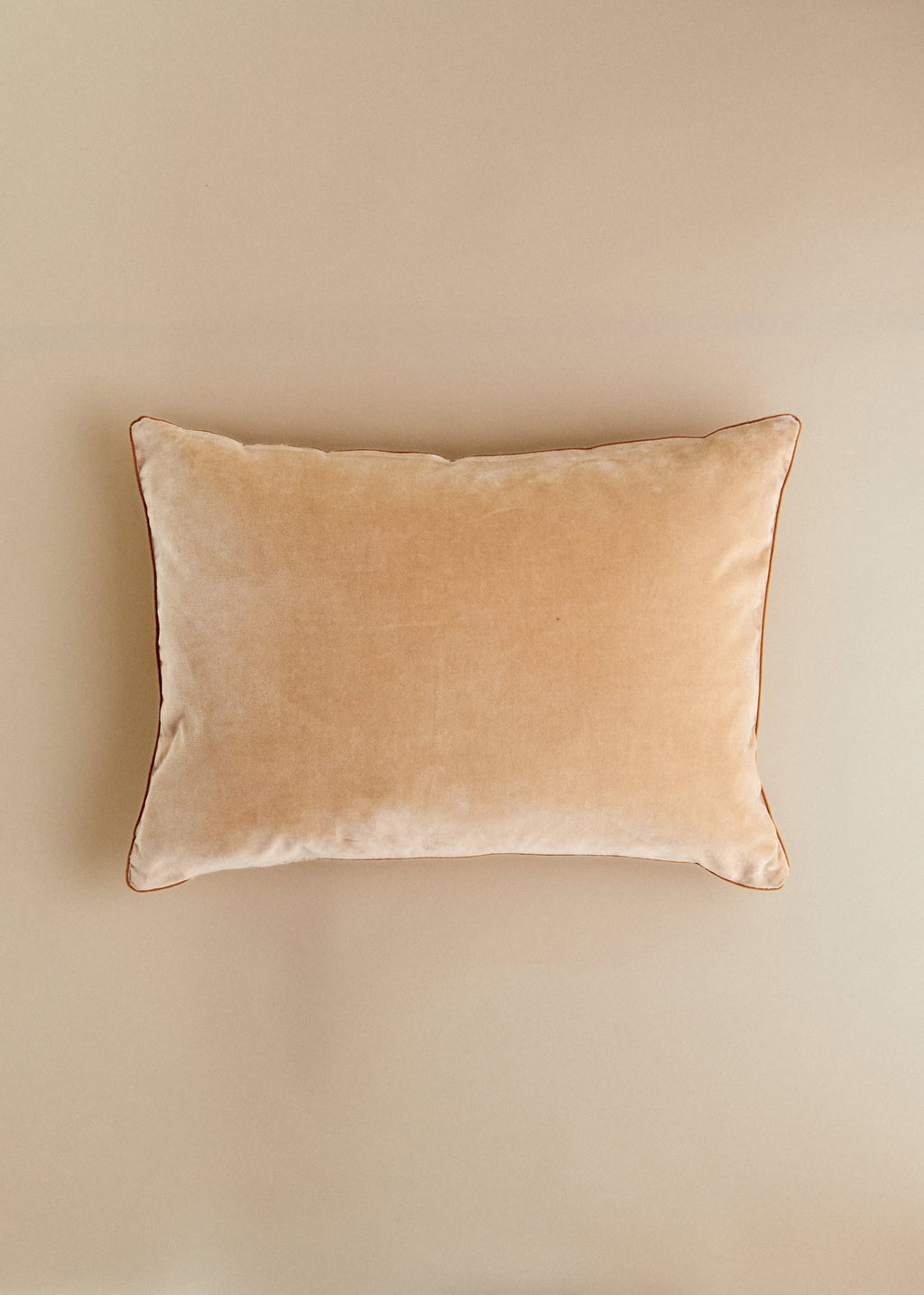 Coussin Velours Édition - Grand modèle - Beige
