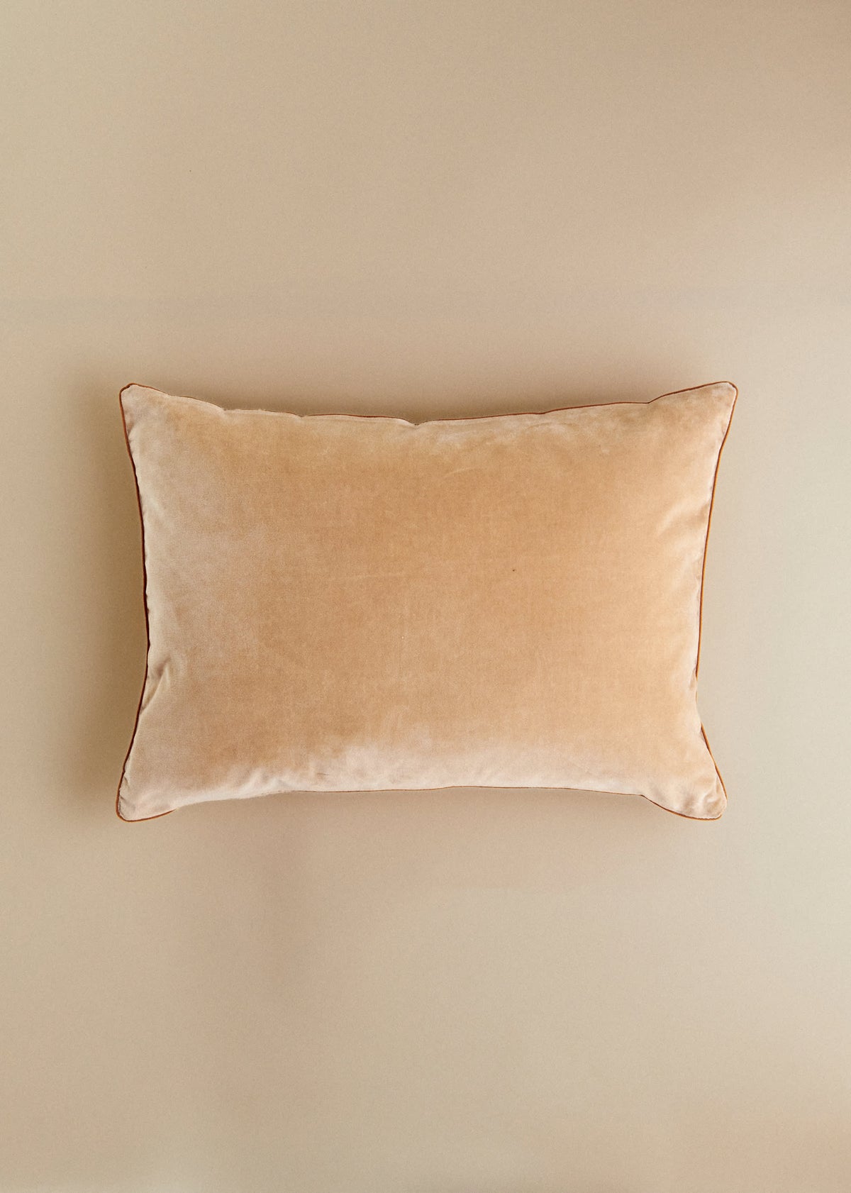 Coussin Velours Édition - Grand modèle - Beige