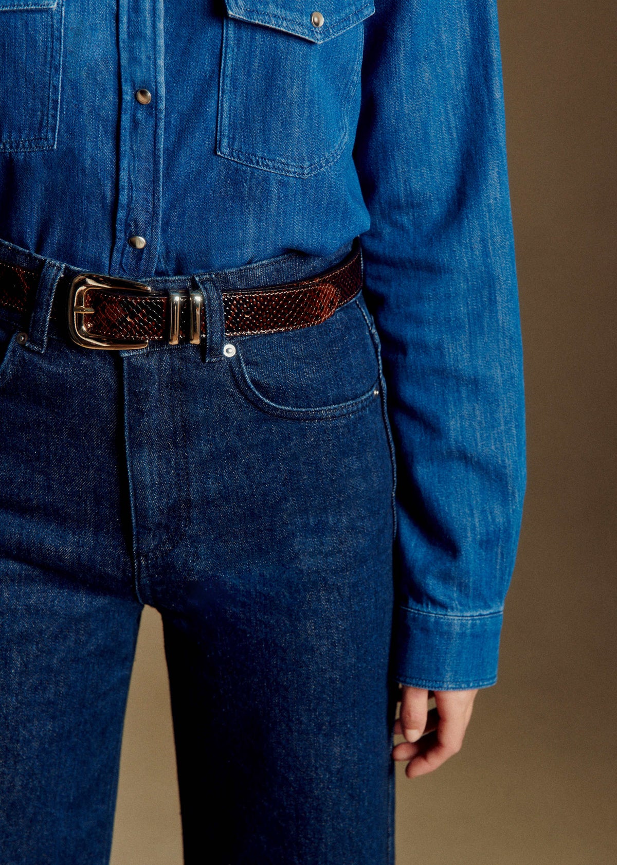 Ceinture Oria - Marron Python